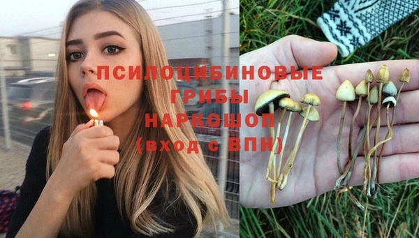индика Алзамай