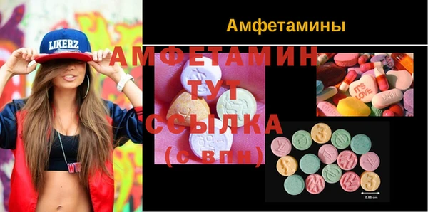 индика Алзамай